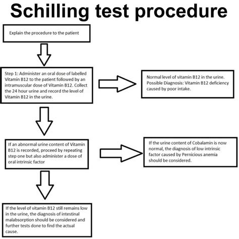 schilling test results|Understanding Schilling test: A Comprehensive Patient Guide.